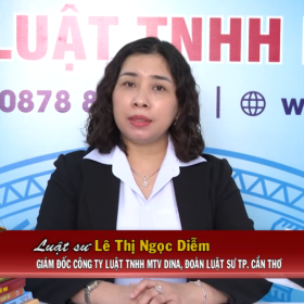 THCT Chính sách pháp luật ngày 21.12.2024 THCT Chính sách pháp luật ngày 21.12.2024