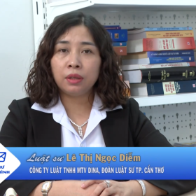 THCT Hộp thư truyền hình ngày 08.12.2024 THCT Hộp thư truyền hình ngày 08.12.2024