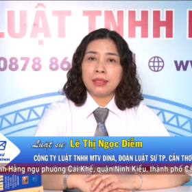 THCT Hộp thư truyền hình ngày 10.11.2024 THCT Hộp thư truyền hình ngày 10.11.2024